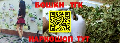 прущие грибы Балаково