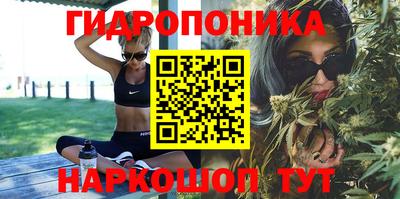 прущие грибы Балаково