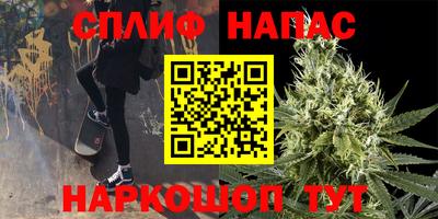 прущие грибы Балаково