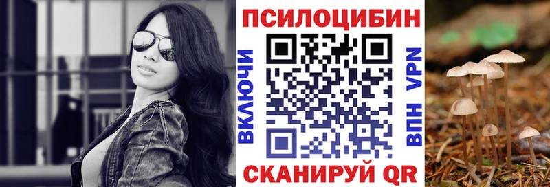 как найти   Верхняя Пышма  Галлюциногенные грибы MAGIC MUSHROOMS 