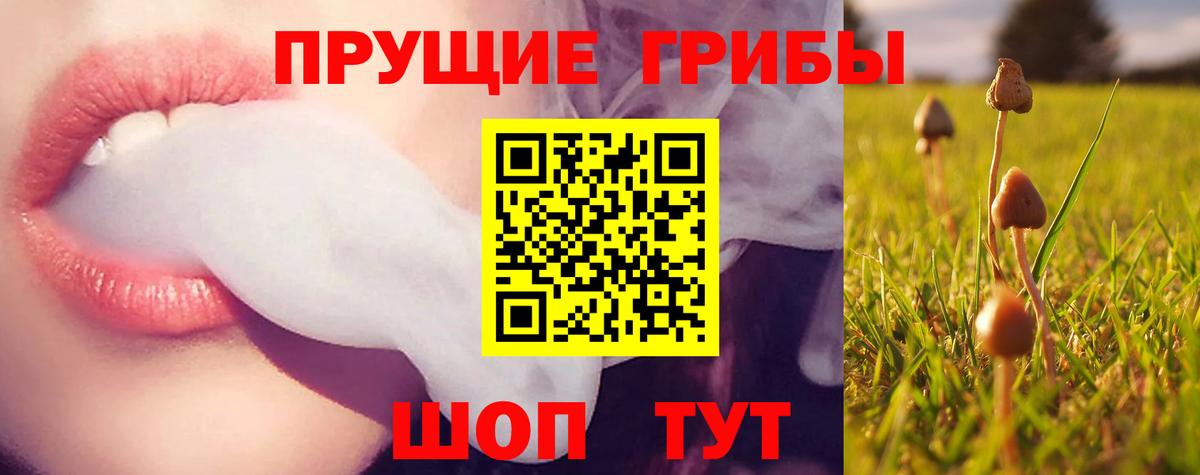 Галлюциногенные грибы Cubensis  Вход с VPN  Верхняя Пышма 