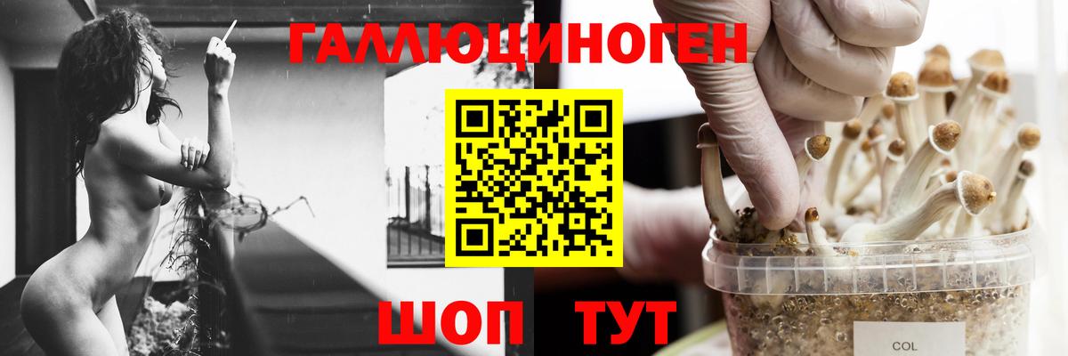 Псилоцибиновые грибы мицелий  Верхняя Пышма 